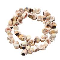 Natural Sea Shell Beads, conchiglia, fatto a mano, DIY, colori misti, 7x12mm, 60PC/filo, Venduto per 38 cm filo