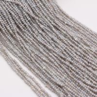 Barock odlad sötvattenspärla pärlor, Freshwater Pearl, DIY, grå, 2.5-3mm, Såld Per Ca 38 cm Strand