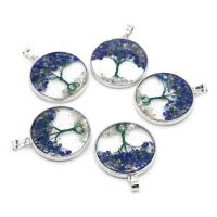Natural Lapis Lazuli Pendants Resin with Lapis Lazuli & Shell & Brass Flat Round plated Unisex blue Sold By PC