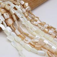 Natural Freshwater Shell Beads irregular DIY Sold Per Approx 38 cm Strand