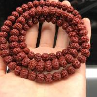 Rudraksha bracelet, unisexe, rouge, 8mm, Longueur Environ 19 cm, Vendu par PC