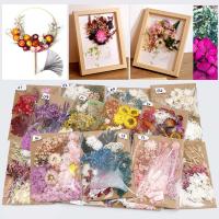 Fashion Decoration Flowers, Dried Flower, DIY & different styles for choice, more colors for choice, 210x150mm, Sold By Bag