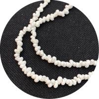 Perles naturelles de coquillages de mer , coquille, escargot, poli, DIY, plus de couleurs à choisir, 4mm, Vendu par Environ 38 cm brin