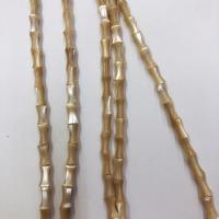 Trochus Shell Beads DIY Sold Per 14.96 Inch Strand