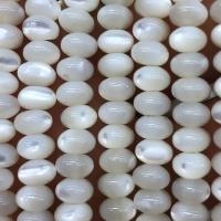 Trochus Shell Beads Abacus DIY Sold Per 14.96 Inch Strand