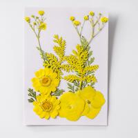 Mode Dekoration Blommor, Torkade blommor, DIY & olika stilar för val, fler färger för val, 120x85mm, Säljs av Bag
