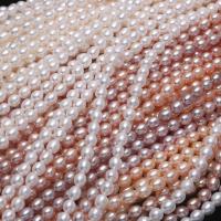 Perlas Arroz Freshwater, Perlas cultivadas de agua dulce, Bricolaje, más colores para la opción, 5-6mm, Vendido para 14.96 Inch Sarta