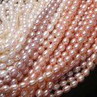 Perlas Arroz Freshwater, Perlas cultivadas de agua dulce, Bricolaje & diverso tamaño para la opción, más colores para la opción, Vendido para 14.96 Inch Sarta