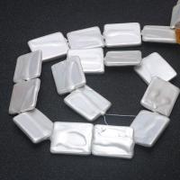 Perles en coquillage blanc naturel, coquille, rectangle, DIY, blanc, 20x25mm, Vendu par 15.75 pouce brin
