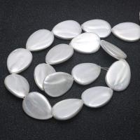 Perles en coquillage blanc naturel, coquille, larme, DIY, blanc, 18x25mm, Vendu par 15.75 pouce brin