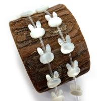 Natural Freshwater Shell Beads White Shell with Black Shell Rabbit DIY Sold By PC
