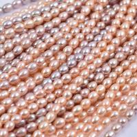 Cultured Rice Freshwater Pearl Beads, DIY, more colors for choice, 7-8mm, Sold Per 36-38 cm Strand