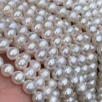 Perles de nacre rondes de culture d'eau douce, perle d'eau douce cultivée, DIY, blanc, 6.5-7.5mm, Vendu par 14.96 pouce brin