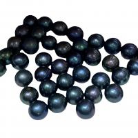 Naturalne perły słodkowodne perełki luźne, Perła naturalna słodkowodna, Koło, DIY, czarny, 9.5-10.5mm, sprzedane przez PC