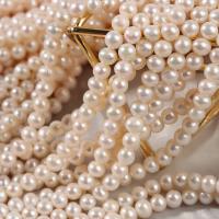 Runde ferskvandskulturperle Beads, Ferskvandsperle, du kan DIY, hvid, 6mm, Solgt Per 14.57 inch Strand