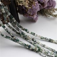 Tree Agate perler, Square, poleret, mode smykker & du kan DIY, 4x4mm, Ca. 86pc'er/Strand, Solgt Per Ca. 15.35 inch Strand