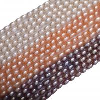 Perles d'eau douce de culture de riz, perle d'eau douce cultivée, DIY, plus de couleurs à choisir, 3.50mm, Vendu par 36-38 cm brin