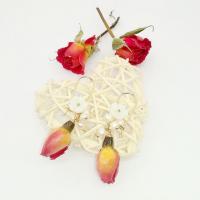 Brass Drop Earring with Shell & Resin & Plastic Pearl fashion jewelry & for woman nickel lead & cadmium free Sold By Pair