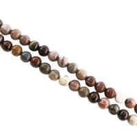 Silicified Wood Beads Round polished DIY Sold Per Approx 38 cm Strand