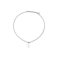 Titanstahl Halskette, Einbrennlack, für Frau, Silberfarbe, Länge:ca. 45 cm, verkauft von PC