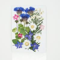 Matkapuhelin DIY Kit, kuivattu kukka, tee-se-itse, 145x105mm, Myymät laukku