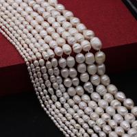 Cultured Rice Freshwater Pearl Beads DIY Sold Per Approx 35 cm Strand