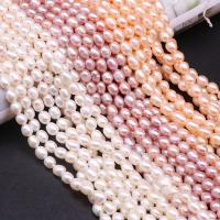 Ryžiai Kultūringas gėlavandenių perlų karoliukai, Gėlo vandens perlų, Pasidaryk pats & skirtingo dydžio pasirinkimo, daugiau spalvų pasirinkimas, Pardavė Strand