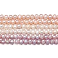 Barocco coltivate in acqua dolce Perla, perla d'acquadolce coltivata naturalmente, DIY & formato differente per scelta, nessuno, Venduto per Appross. 15 pollice filo