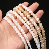 Perles naturelles de coquillages de mer , coquillage, coeur, DIY & normes différentes pour le choix, plus de couleurs à choisir, Vendu par Environ 15 pouce brin