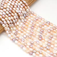 Rýže kultivované sladkovodní perle, Sladkovodní Pearl, DIY & různé velikosti pro výběr, smíšené barvy, Prodáno za Cca 15 inch Strand
