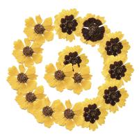 Celular Kit DIY, Flores secas, Mais cores pare escolha, 25-45mm, 12PCs/Bag, vendido por Bag