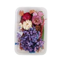 Kunstbloemen, Gedroogde bloem, handgemaakt, DIY & verschillende stijlen voor de keuze, meer kleuren voor de keuze, 170*115mm,210*150mm, Verkocht door box