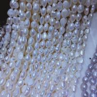 Perlas cultivadas de agua dulce Abalorio, Bricolaje, Blanco, Vendido para aproximado 38 cm Sarta