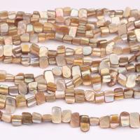 Perles naturelles de coquillage d'eau douce , coquille, DIY, Jaune, 2-15mm, Vendu par Environ 38 cm brin