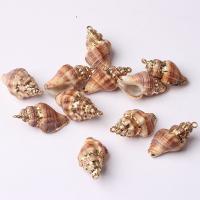 Natural Trumpet Shell Pendants, with Tibetan Style, mixed colors, 5-40mm, Sold By PC