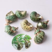 Natural Trumpet Shell Pendants, with Tibetan Style, green, 5-40mm, Sold By PC