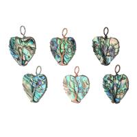 Natural Abalone Shell Pendants, Brass, with Abalone Shell, Heart, fashion jewelry & DIY, multi-colored, 31x40x8mm, Hole:Approx 7mm, 5PCs/Lot, Sold By Lot