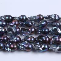 Natürliche kultivierte Süßwasserperlen Perle, DIY, schwarz, 15-19mm, verkauft per ca. 38 cm Strang