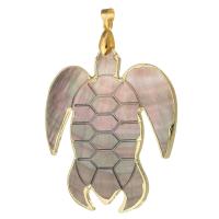 Shell Pendants, Brass, with Shell, Turtle, gold color plated, fashion jewelry & DIY, 50x49x3mm, Hole:Approx 4mm, 5PCs/Lot, Sold By Lot
