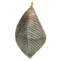 Shell Pendler, Messing, med Shell, Leaf, guldfarve belagt, mode smykker & du kan DIY, 63x92x2mm, Hole:Ca. 4mm, 5pc'er/Lot, Solgt af Lot