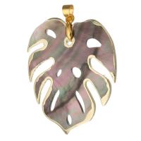 Shell Pendants, Brass, Leaf, gold color plated, fashion jewelry & DIY, 33x39x2mm, Hole:Approx 4mm, 5PCs/Lot, Sold By Lot