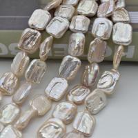 Perles nacres baroques de culture d'eau douce , perle d'eau douce cultivée, cadre, DIY, couleurs mélangées, 13x17mm, Vendu par Environ 38 cm brin