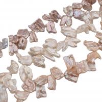 Perles nacres baroques de culture d'eau douce , perle d'eau douce cultivée, DIY, plus de couleurs à choisir, 15-20mm, Vendu par 38 cm brin