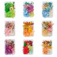 Artificial Flower Home Decoration, Dried Flower, DIY, more colors for choice, 170x120x35mm, Sold By PC