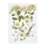 Fleurs artificielles pour la décoration de maison, Fleurs séchées, DIY, 145x105mm, Vendu par sac