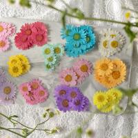 Decoração artificial de casa de flores, Flores secas, DIY, Mais cores pare escolha, 25-40mm, 12PCs/Bag, vendido por Bag