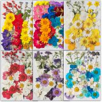 Decoração artificial de casa de flores, Flores secas, DIY & Vario tipos a sua escolha, Mais cores pare escolha, 145x105mm, vendido por Bag