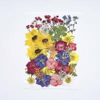 Sztuczny kwiat dekoracyjny, Suszonych kwiatów, DIY & różne style do wyboru, 145x105mm, sprzedane przez torba