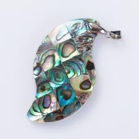 Natural Abalone Shell Pendants with Zinc Alloy mixed colors 10-50mm Sold By PC