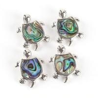 Natural Abalone Shell Pendants with Zinc Alloy Turtle mixed colors Sold By PC